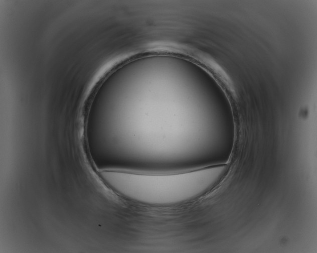 X0000094971376200711291128