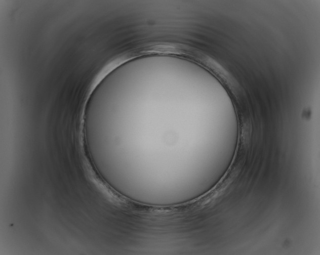 X0000094971378200711291128