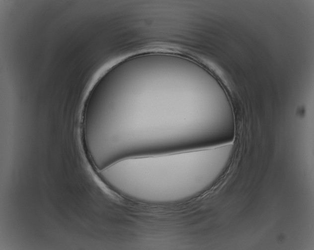 X0000094971379200711291128
