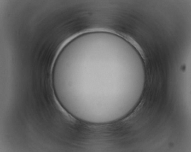 X0000094971380200711291128