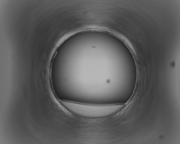 X0000094971381200711291128