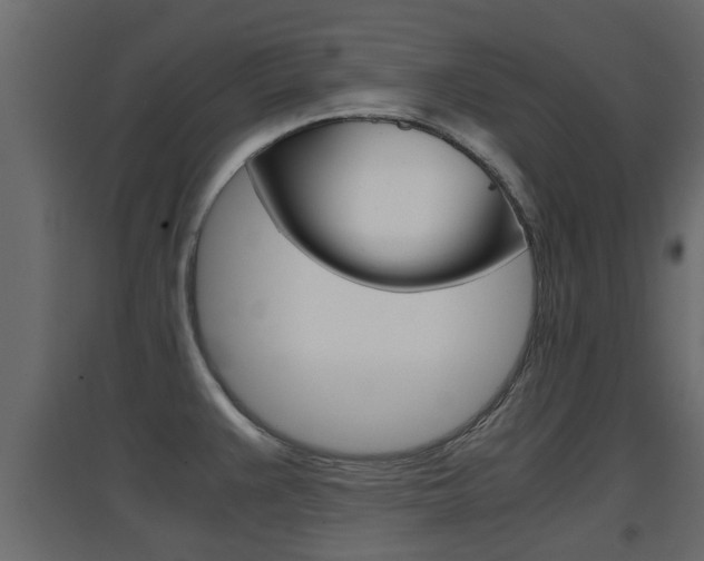 X0000094971383200711291128