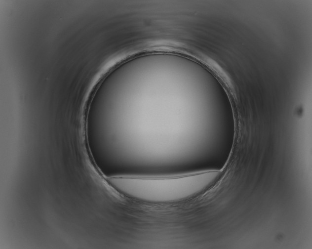 X0000094971384200711291128