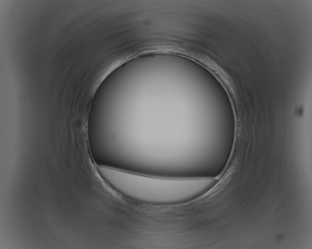 X0000094971385200711291128
