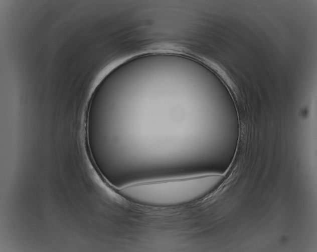X0000094971387200711291128