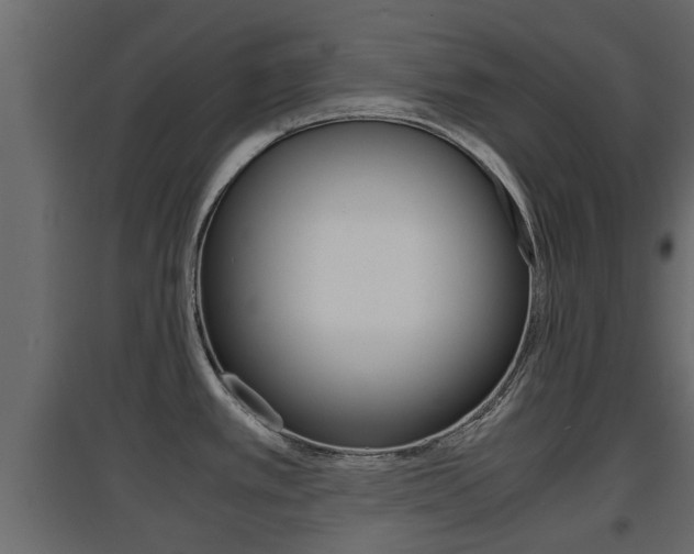 X0000094971389200711291127