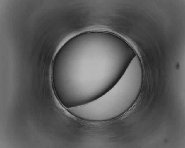X0000094971390200711291127