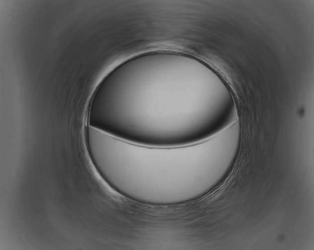 X0000094971391200711291127