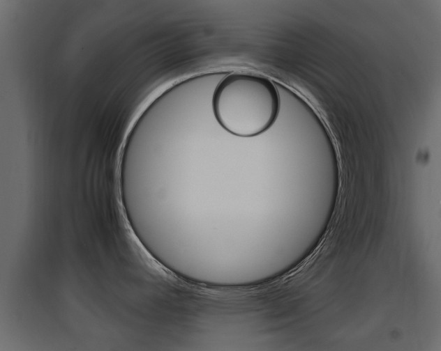 X0000094971392200711291127