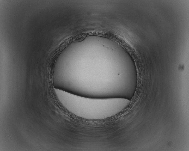 X0000094971399200711291127