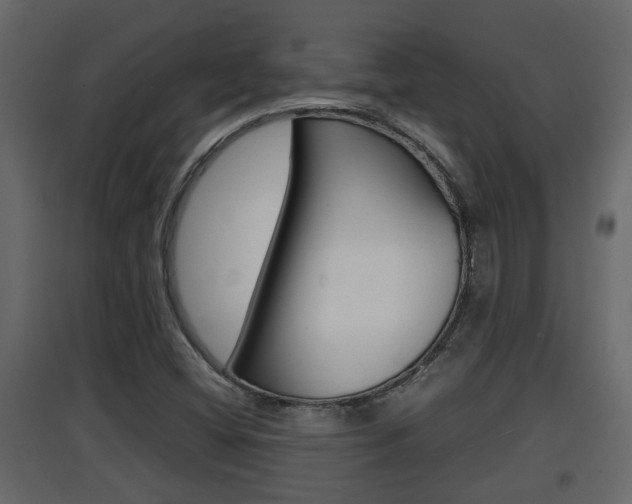 X0000094971404200711291127