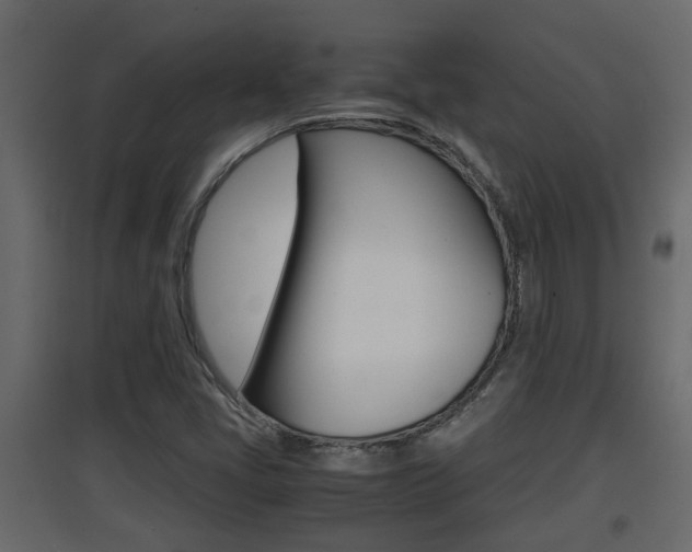 X0000094971405200711291127