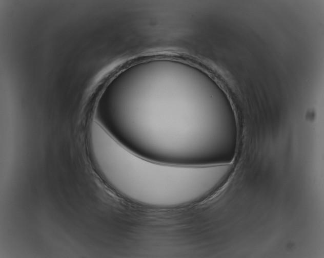 X0000094971406200711291127