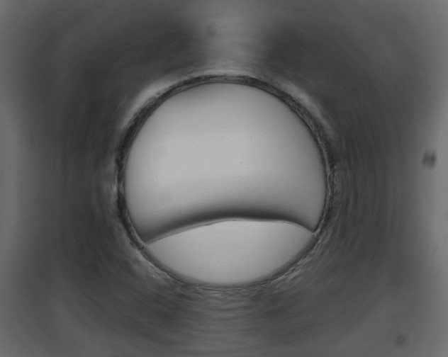 X0000094971408200711291127