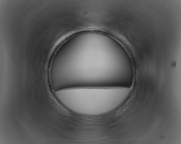 X0000094971412200711291127