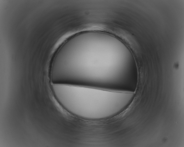 X0000094971422200711291127