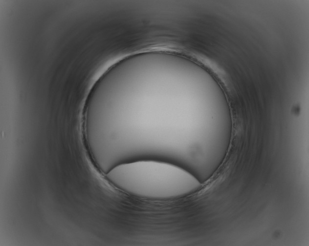 X0000094971423200711291127