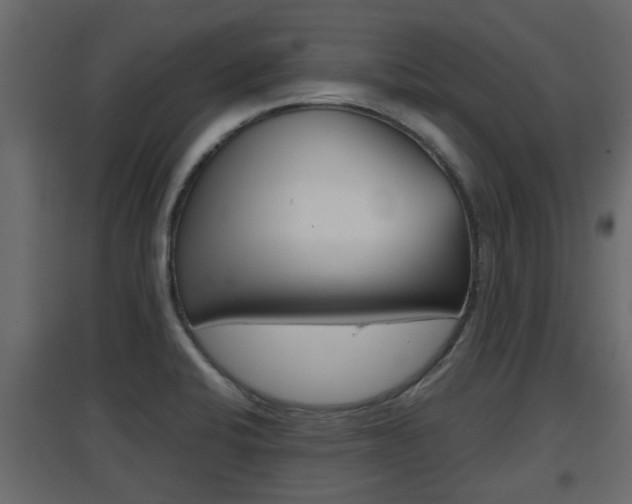 X0000094971424200711291127