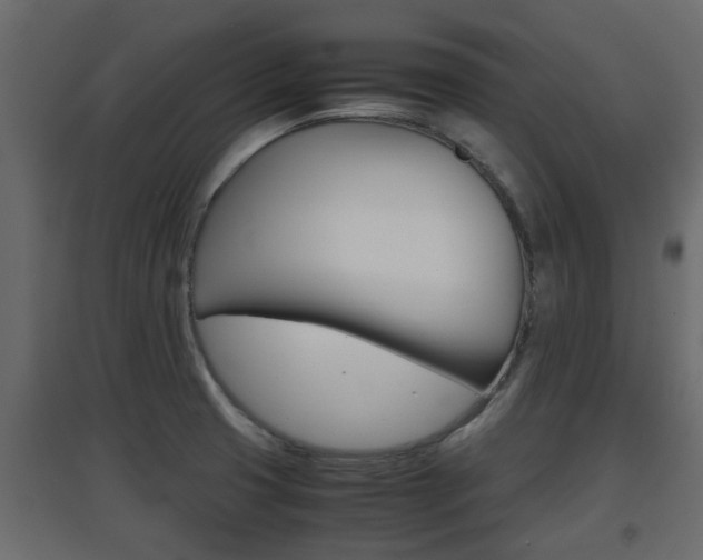 X0000094971425200711291127