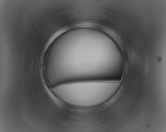 X0000094971426200711291127