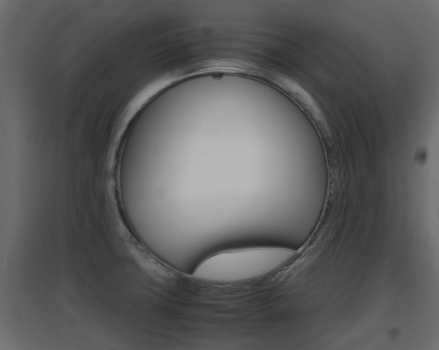 X0000094971427200711291127
