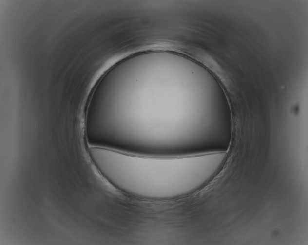 X0000094971428200711291127