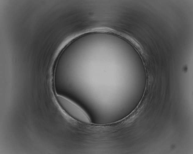 X0000094971430200711291127