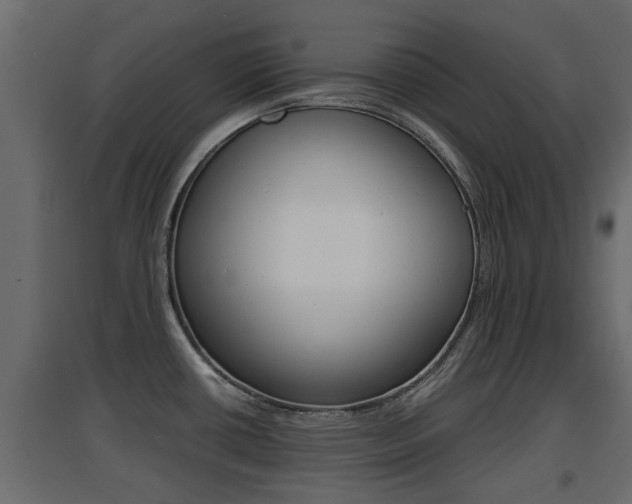 X0000094971434200711291127