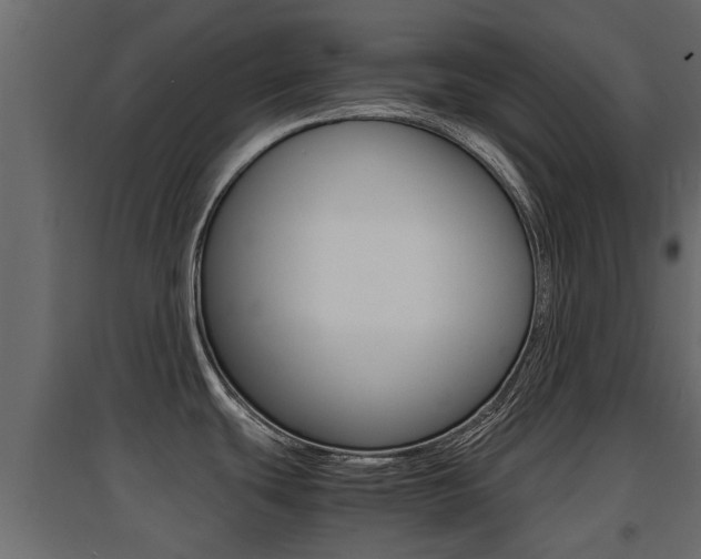 X0000094971439200711291127
