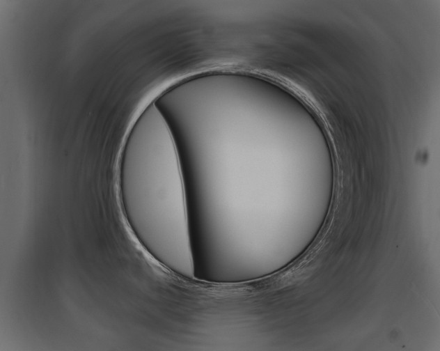 X0000094971440200711291127