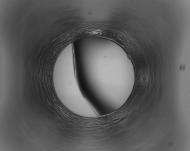 X0000094971442200711291127