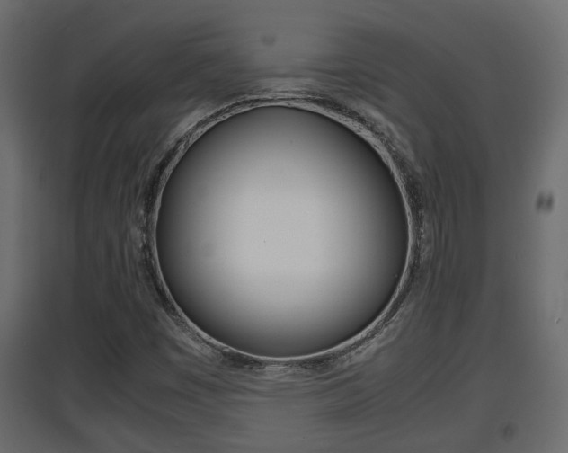 X0000094971449200711291126