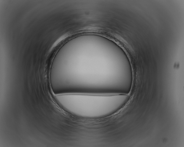 X0000094971450200711291126