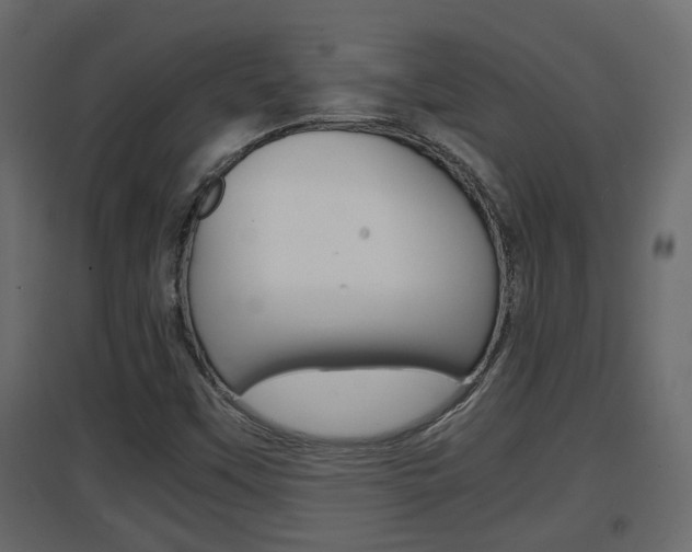 X0000094971451200711291126