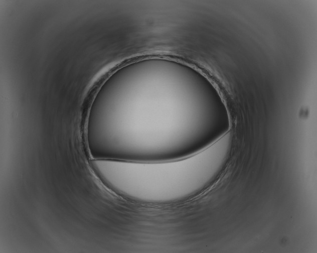 X0000094971452200711291126