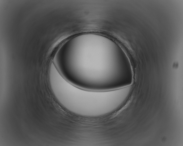 X0000094971453200711291126