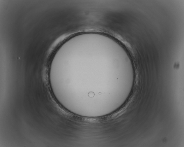X0000094971454200711291126