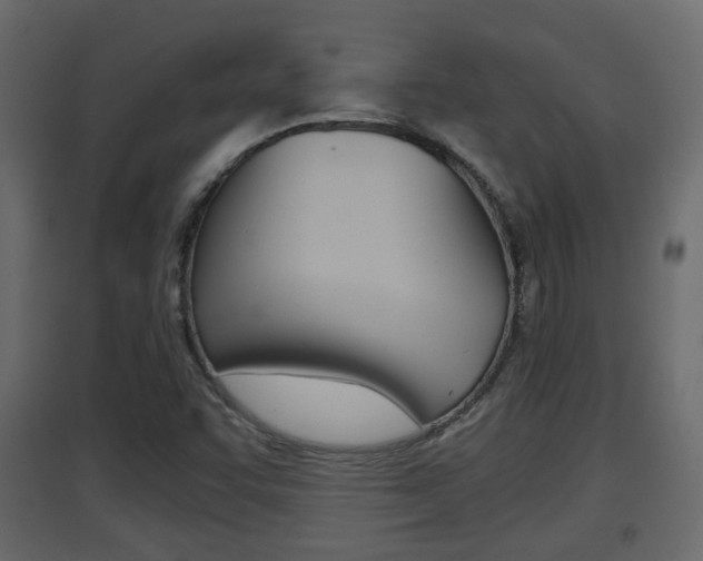 X0000094971455200711291126