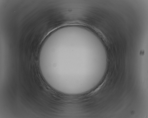 X0000094971457200711291126