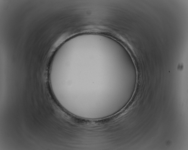 X0000094971459200711291126