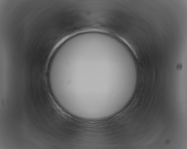 X0000094971460200711291126