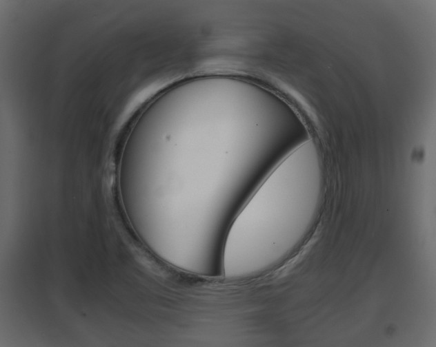 X0000094971461200711291126