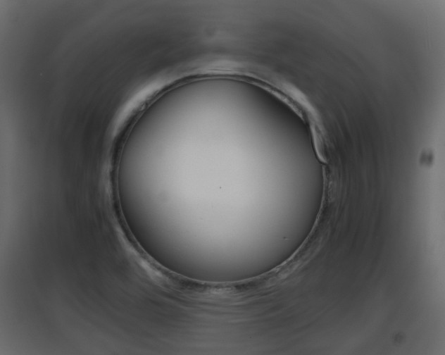 X0000094971464200711291126