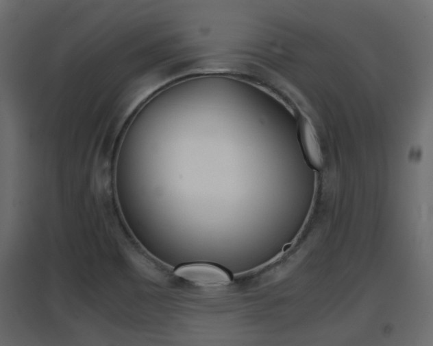 X0000094971465200711291126