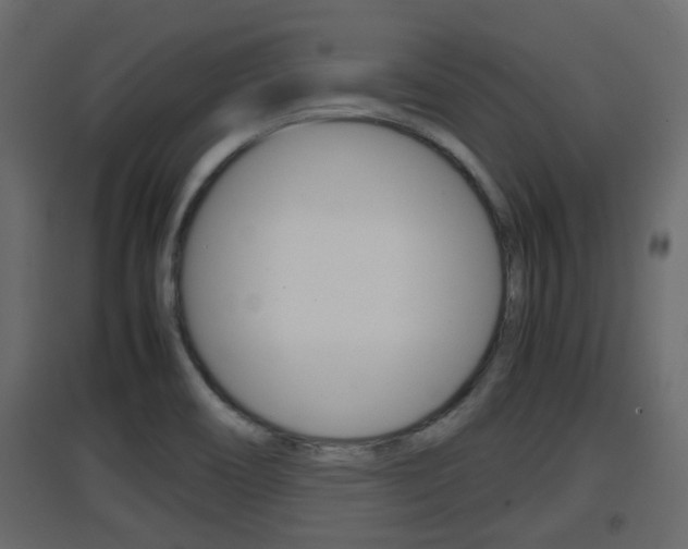 X0000094971466200711291126