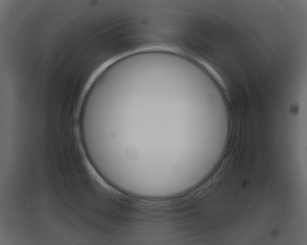 X0000094971468200711291126