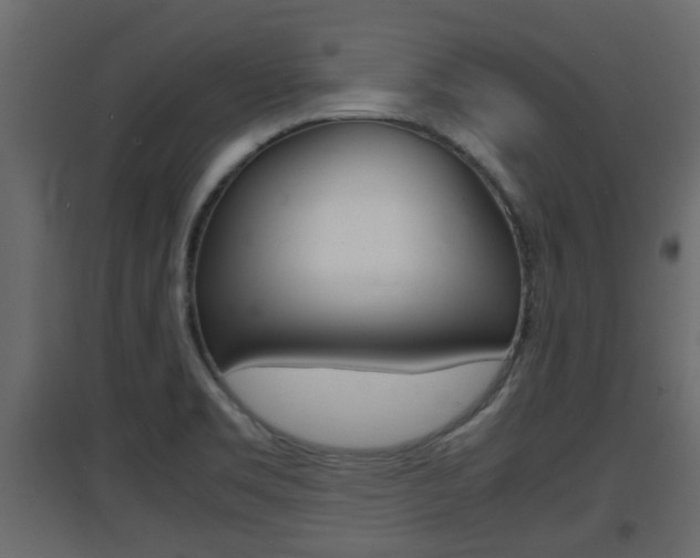 X0000094971469200711291126