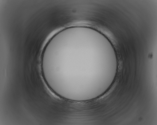 X0000094971470200711291126