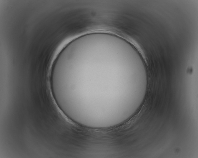 X0000094971472200711291126