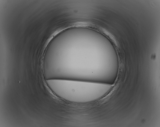 X0000094971473200711291126